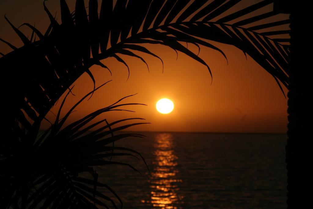One Love Maktub Paul do Mar  Dış mekan fotoğraf